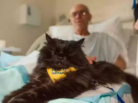 PURINA verleiht zum vierten Mal den BetterwithPets Prize und fördert Organisationen, die sich der Kraft der Mensch-Tier-Beziehung widmen - Foto: presseportal.de