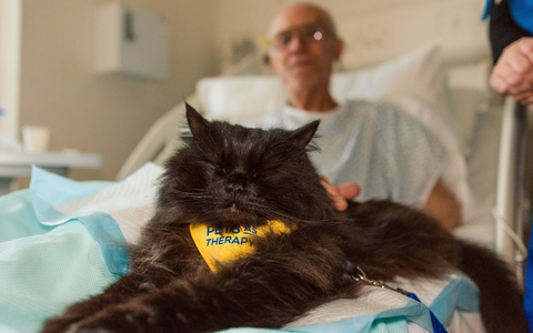 PURINA verleiht zum vierten Mal den BetterwithPets Prize und fördert Organisationen, die sich der Kraft der Mensch-Tier-Beziehung widmen - Foto: presseportal.de