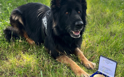 HZA-M: Zollhündin Josefa für mehr als 100 erfolgreiche Einsätze ausgezeichnet - Foto: presseportal.de