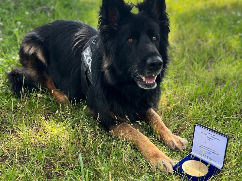 HZA-M: Zollhündin Josefa für mehr als 100 erfolgreiche Einsätze ausgezeichnet - Foto: presseportal.de
