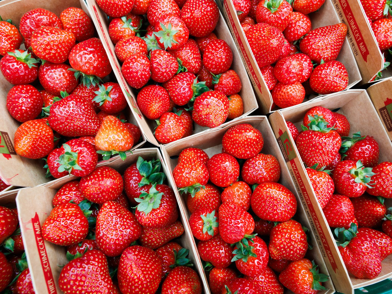 Deutsche Landwirte ernten weniger Erdbeeren. - Foto: Lando Hass/dpa