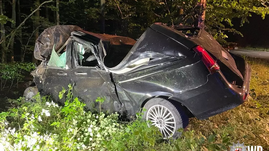 POL-PDKL: Bei Wildunfall Kontrolle über Wagen verloren - Bild: presseportal.de