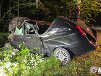 POL-PDKL: Bei Wildunfall Kontrolle über Wagen verloren - Foto: presseportal.de