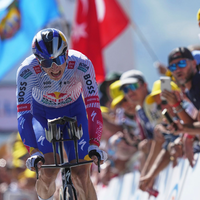 Jungstar Florian Lipowitz glänzt bei der Tour de France. - Foto: Thibault Camus/AP/dpa