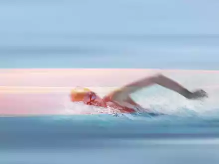 Schwimm-WM: Becken-Wettbewerbe täglich im ZDF-Livestream - Foto: presseportal.de