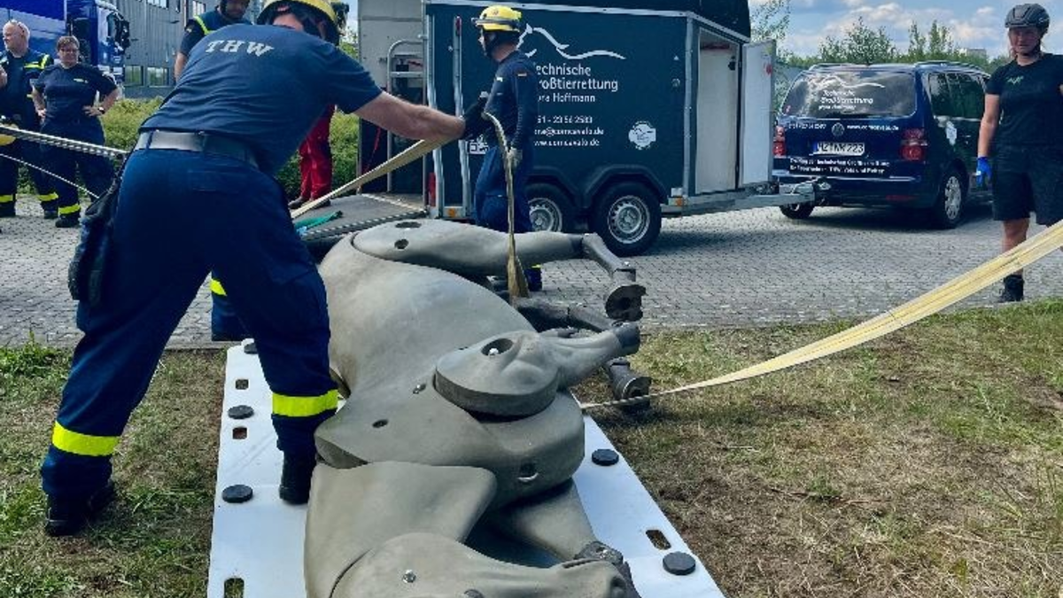 THW LVBEBBST: Großtierrettung: Neue Fähigkeit beim THW Fürstenwalde - Foto: presseportal.de