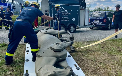 THW LVBEBBST: Großtierrettung: Neue Fähigkeit beim THW Fürstenwalde - Foto: presseportal.de