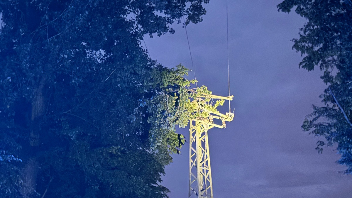 FW Alpen: Äste stürzten auf Stromleitung - Foto: presseportal.de