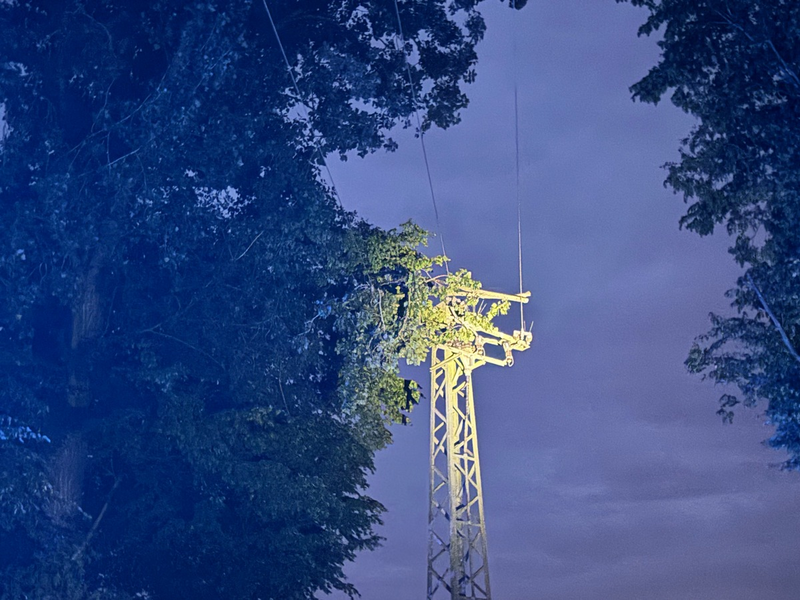 FW Alpen: Äste stürzten auf Stromleitung - Foto: presseportal.de