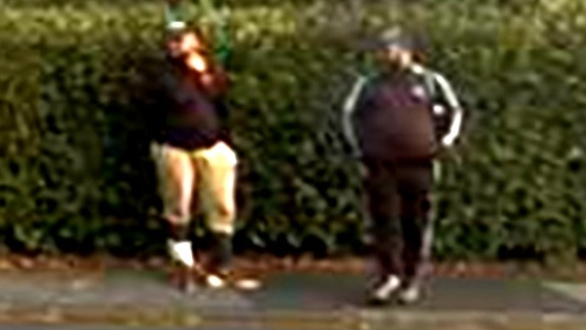 POL-HG: Fahndungsaufruf mit Videosequenz nach schwerem Raub - Foto: presseportal.de