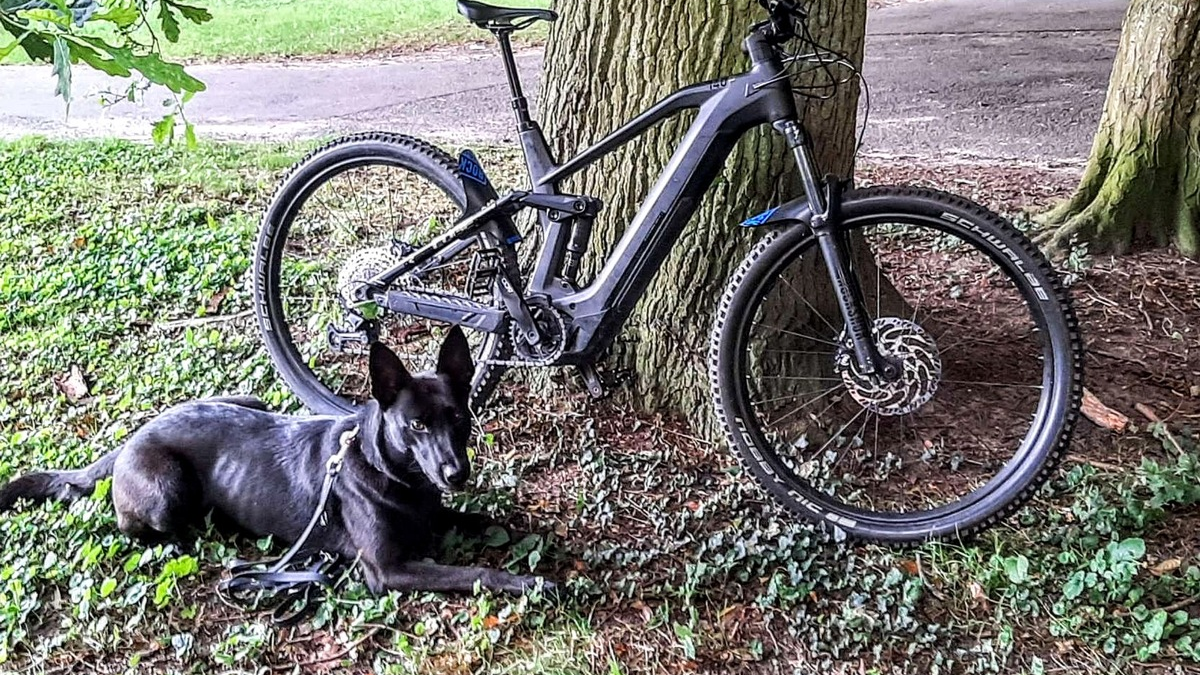 BPOL-KI: Diensthunde der Bundespolizei finden gestohlene Fahrräder im Wald - Foto: presseportal.de