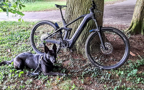 BPOL-KI: Diensthunde der Bundespolizei finden gestohlene Fahrräder im Wald - Foto: presseportal.de