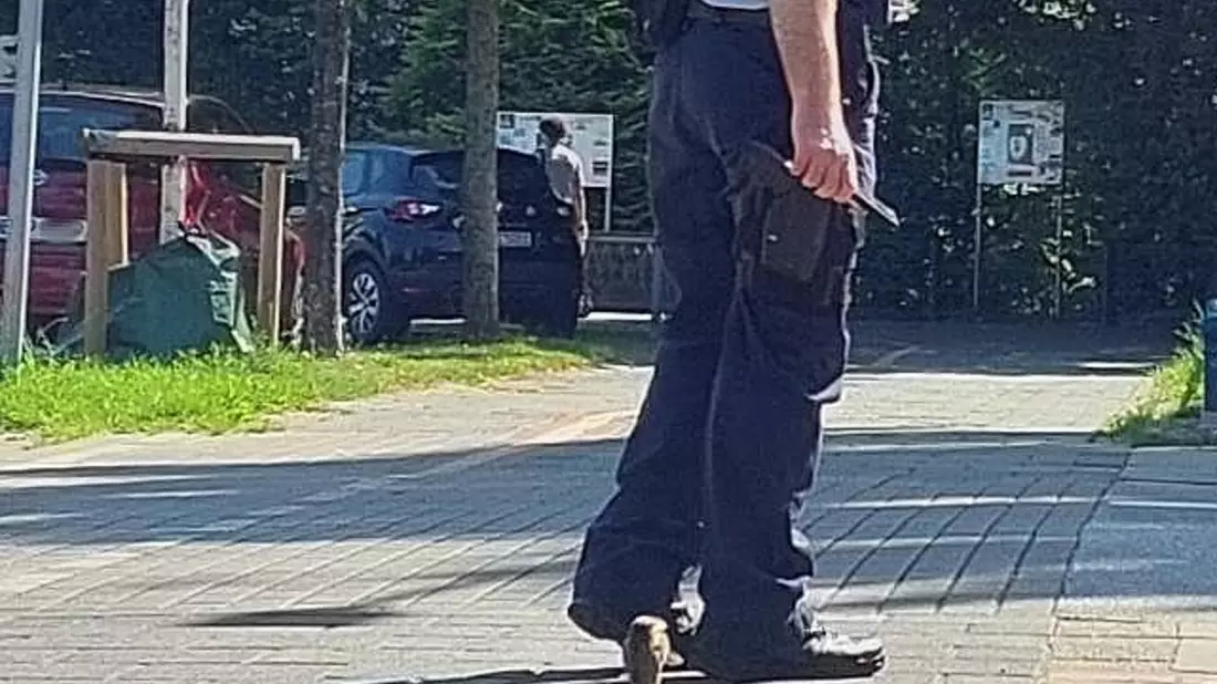 BPOL-HB: Bundespolizisten mit Herz für Tiere in Not - Bild: presseportal.de
