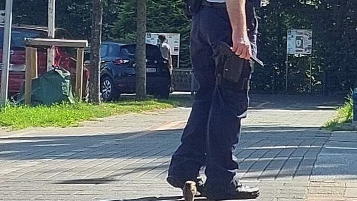 BPOL-HB: Bundespolizisten mit Herz für Tiere in Not - Foto: presseportal.de