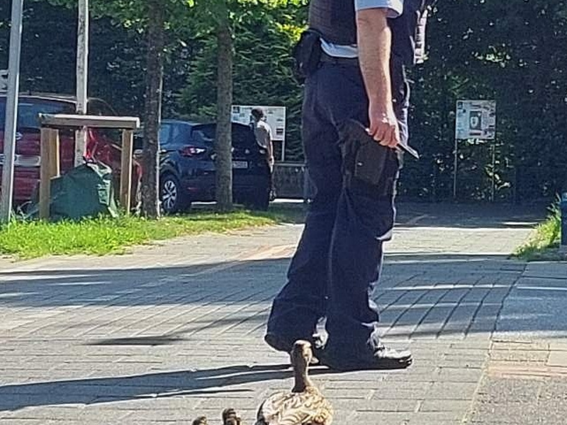 BPOL-HB: Bundespolizisten mit Herz für Tiere in Not - Foto: presseportal.de