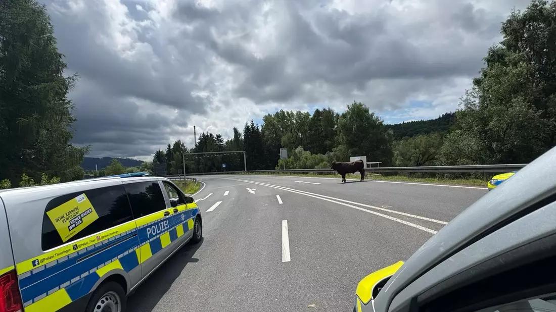 LPI-SHL: Bulle in Richtung Autobahn unterwegs - Bild: presseportal.de