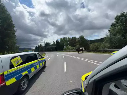 LPI-SHL: Bulle in Richtung Autobahn unterwegs - Foto: presseportal.de