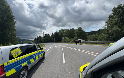 LPI-SHL: Bulle in Richtung Autobahn unterwegs - Foto: presseportal.de