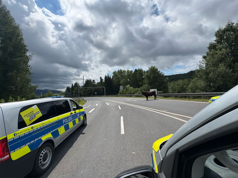 LPI-SHL: Bulle in Richtung Autobahn unterwegs - Foto: presseportal.de