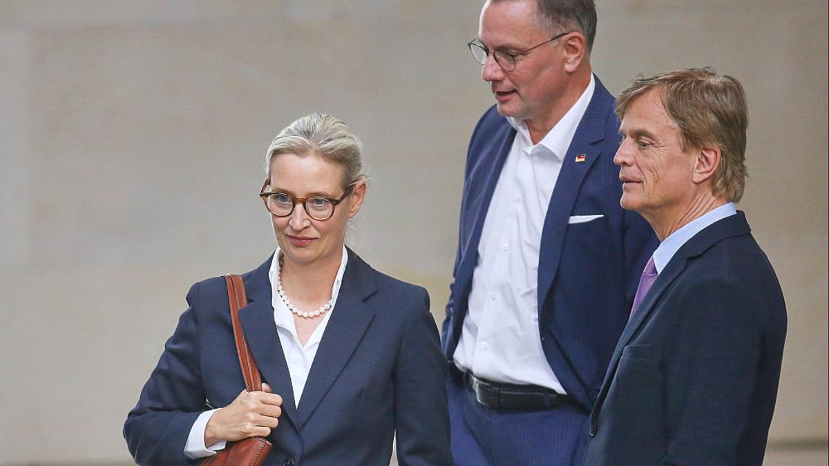 Alice Weidel, Tino Chrupalla und Bernd Baumann (Archiv) - Foto: über dts Nachrichtenagentur