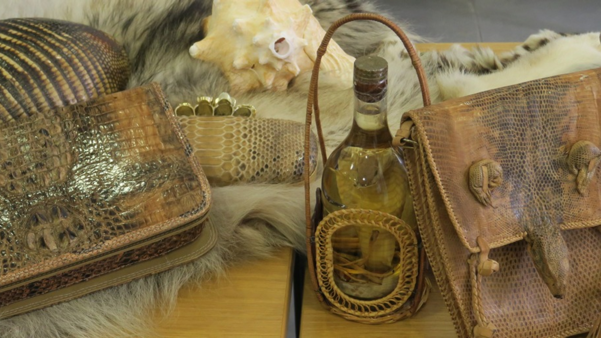 HZA-N: Gut informiert durch den Zoll: Tipps für Reisende in der Urlaubszeit - Foto: presseportal.de