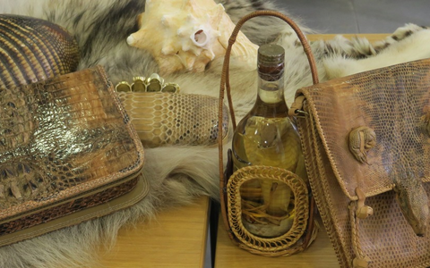 HZA-N: Gut informiert durch den Zoll: Tipps für Reisende in der Urlaubszeit - Foto: presseportal.de