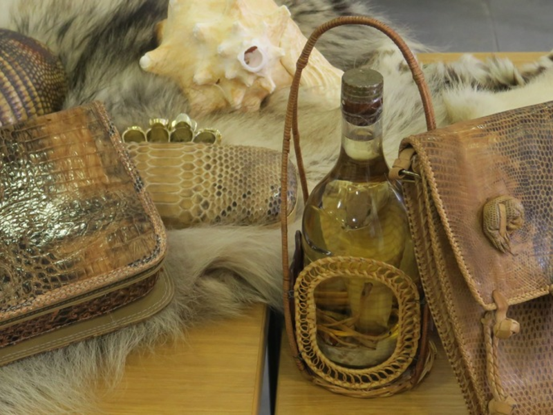 HZA-N: Gut informiert durch den Zoll: Tipps für Reisende in der Urlaubszeit - Foto: presseportal.de