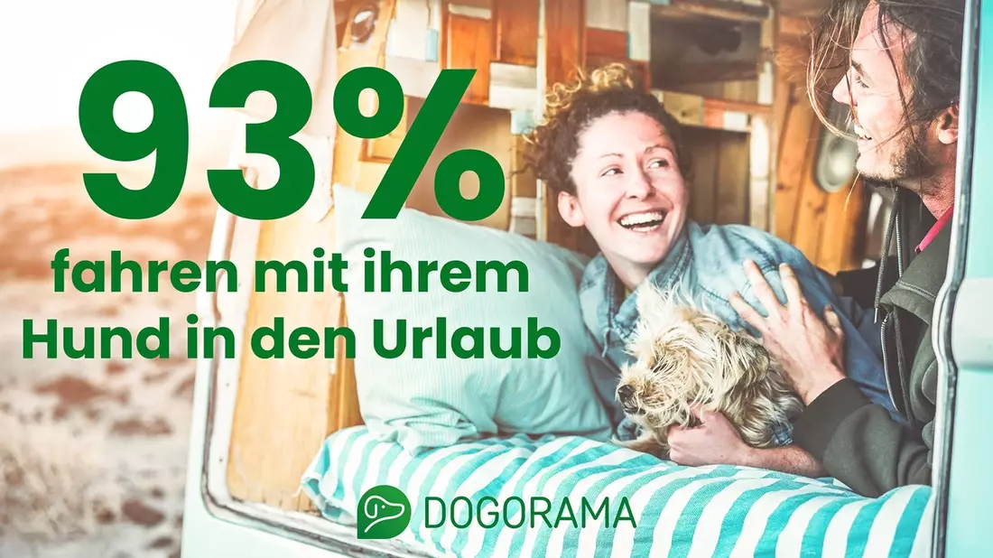 Die beliebtesten Reiseziele für Hundehalter: die Dogorama-Community zeigt, wo Hundebesitzer am liebsten Urlaub machen - Bild: presseportal.de