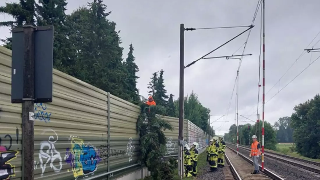 BPOL-FL: Baum fällt auf Lärmschutzwall - Oberleitung muss für Feuerwehreinsatz abgeschaltet werden - Bild: presseportal.de