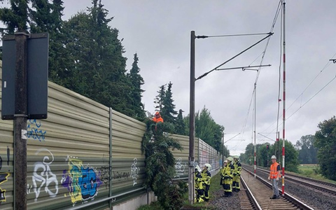 BPOL-FL: Baum fällt auf Lärmschutzwall - Oberleitung muss für Feuerwehreinsatz abgeschaltet werden - Foto: presseportal.de