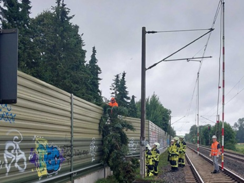 BPOL-FL: Baum fällt auf Lärmschutzwall - Oberleitung muss für Feuerwehreinsatz abgeschaltet werden - Foto: presseportal.de