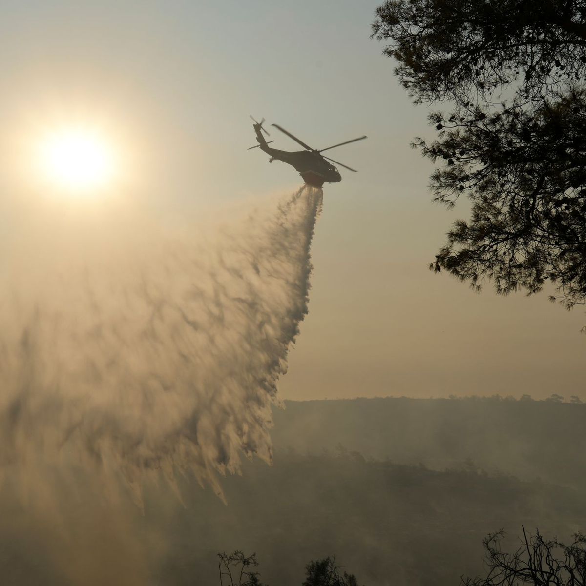 Auf Zypern wird das Wasser knapp - und es gibt immer wieder große Waldbrände. (Archivbild) - Foto: Petros Karadjias/AP/dpa