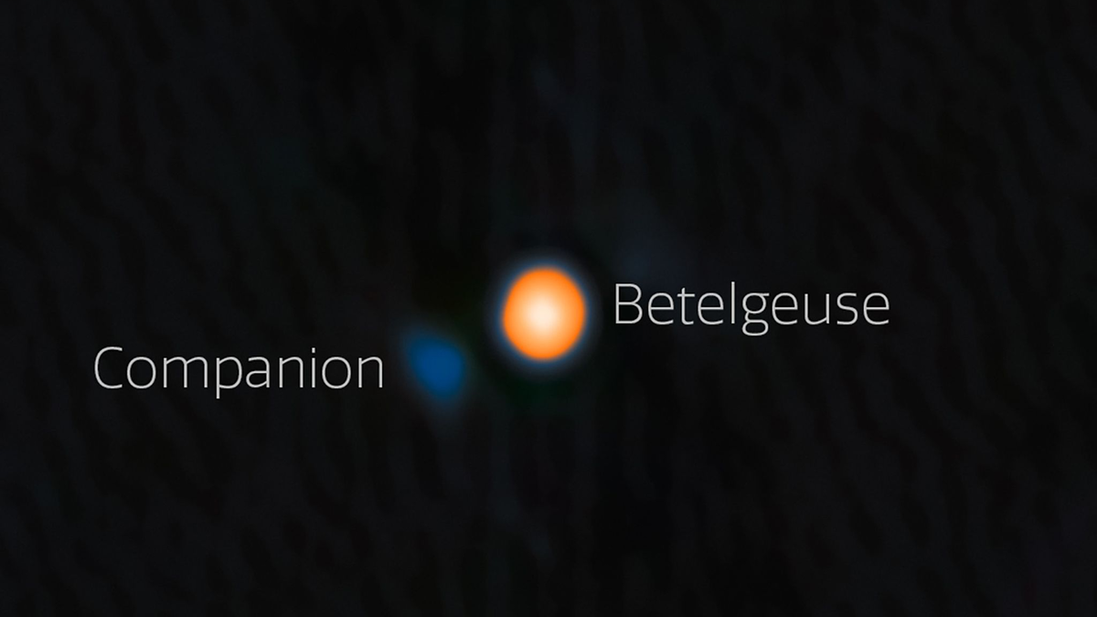 Der Stern Beteigeuze (engl. Betelgeuse) an einer Schulter des Sternbilds Orion hat wahrscheinlich einen Companion.  - Foto: --/International Gemini Observatory/NOIRLab/NSF/AURA/dpa