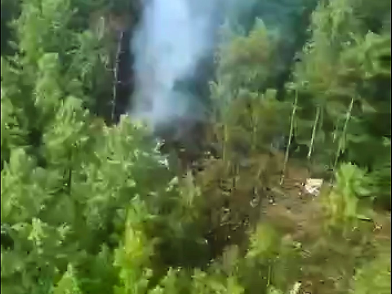 Die Absturzstelle in der Taiga ist für die Helfer schwer zu erreichen. - Foto: Uncredited/Russia Emergency Situations Ministry press service/AP/dpa