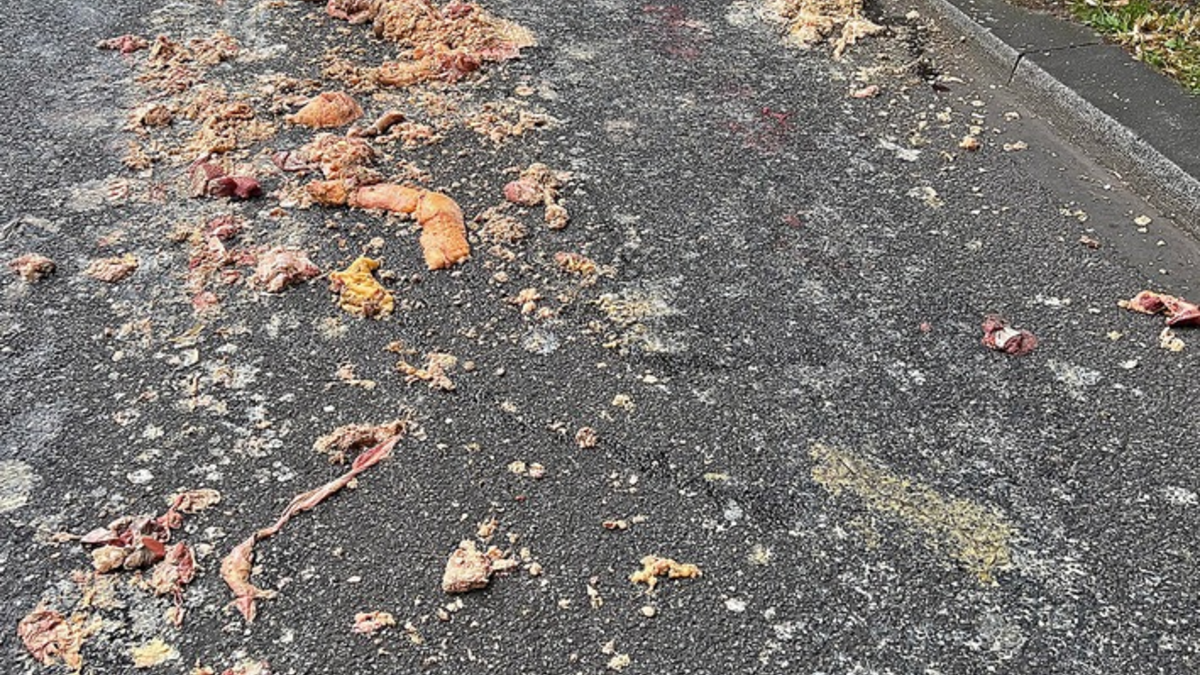 FW-M: Tierische Sauerei (Isarvorstadt) - Foto: presseportal.de