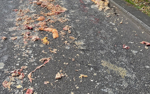 FW-M: Tierische Sauerei (Isarvorstadt) - Foto: presseportal.de