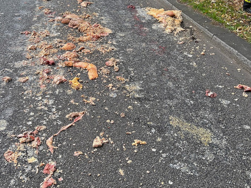 FW-M: Tierische Sauerei (Isarvorstadt) - Foto: presseportal.de