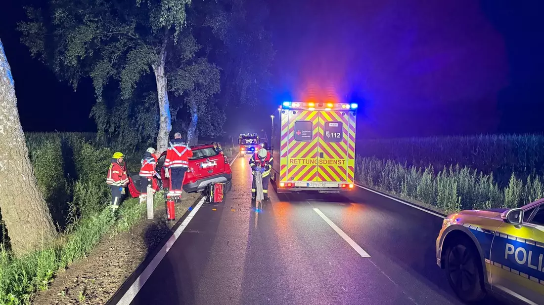 POL-STD: 83-jähriger Autofahrer bei Unfall auf der Landesstraße 124 tödlich verletzt - Bild: presseportal.de