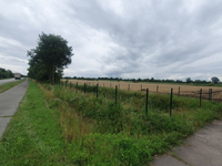 POL-FL: Schuby: Diebstahl von Zaunelementen - Polizei sucht Zeugen - Foto: presseportal.de