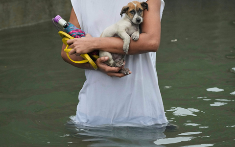 Der Tropensturm Co-may hat vor allem den Nordern der Philippinen getroffen - Foto: Aaron Favila/AP/dpa Der Tropensturm Co-may hat vor allem den Nordern der Philippinen getroffen - Foto: Aaron Favila/AP/dpa