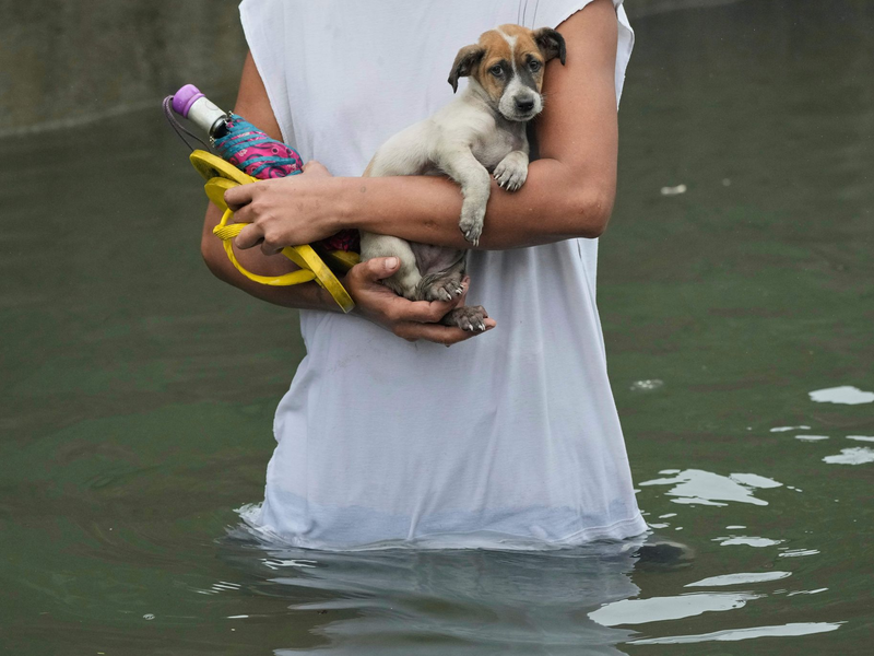 Der Tropensturm Co-may hat vor allem den Nordern der Philippinen getroffen - Foto: Aaron Favila/AP/dpa