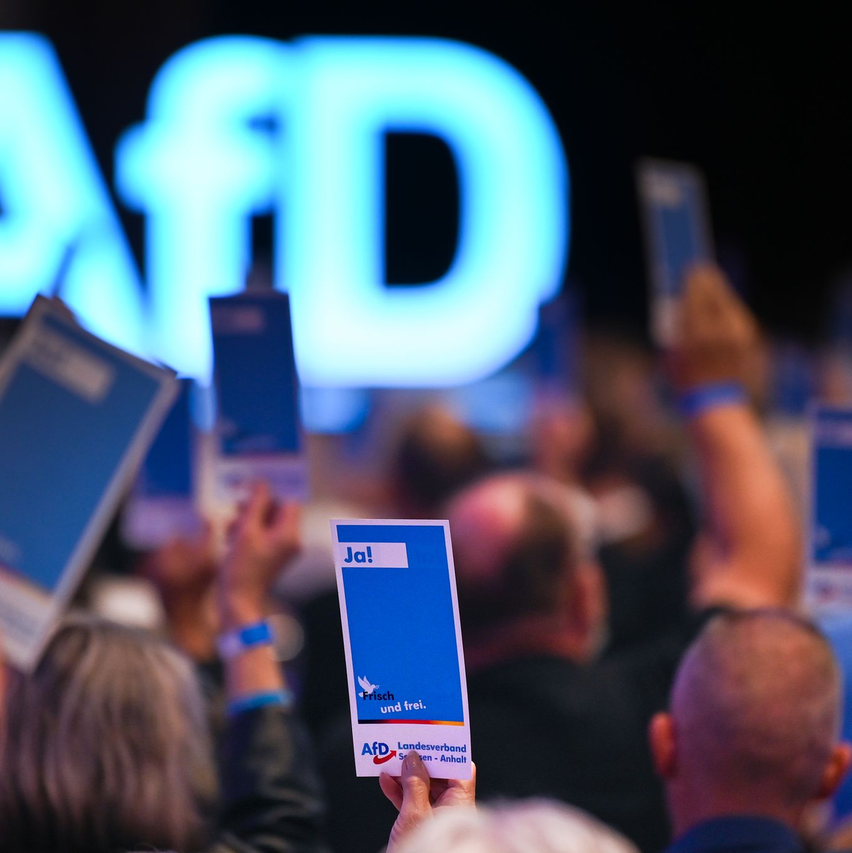 Die AfD will ihre neue Jugendorganisation stärker an sich binden. (Archivbild) - Foto: Heiko Rebsch/dpa