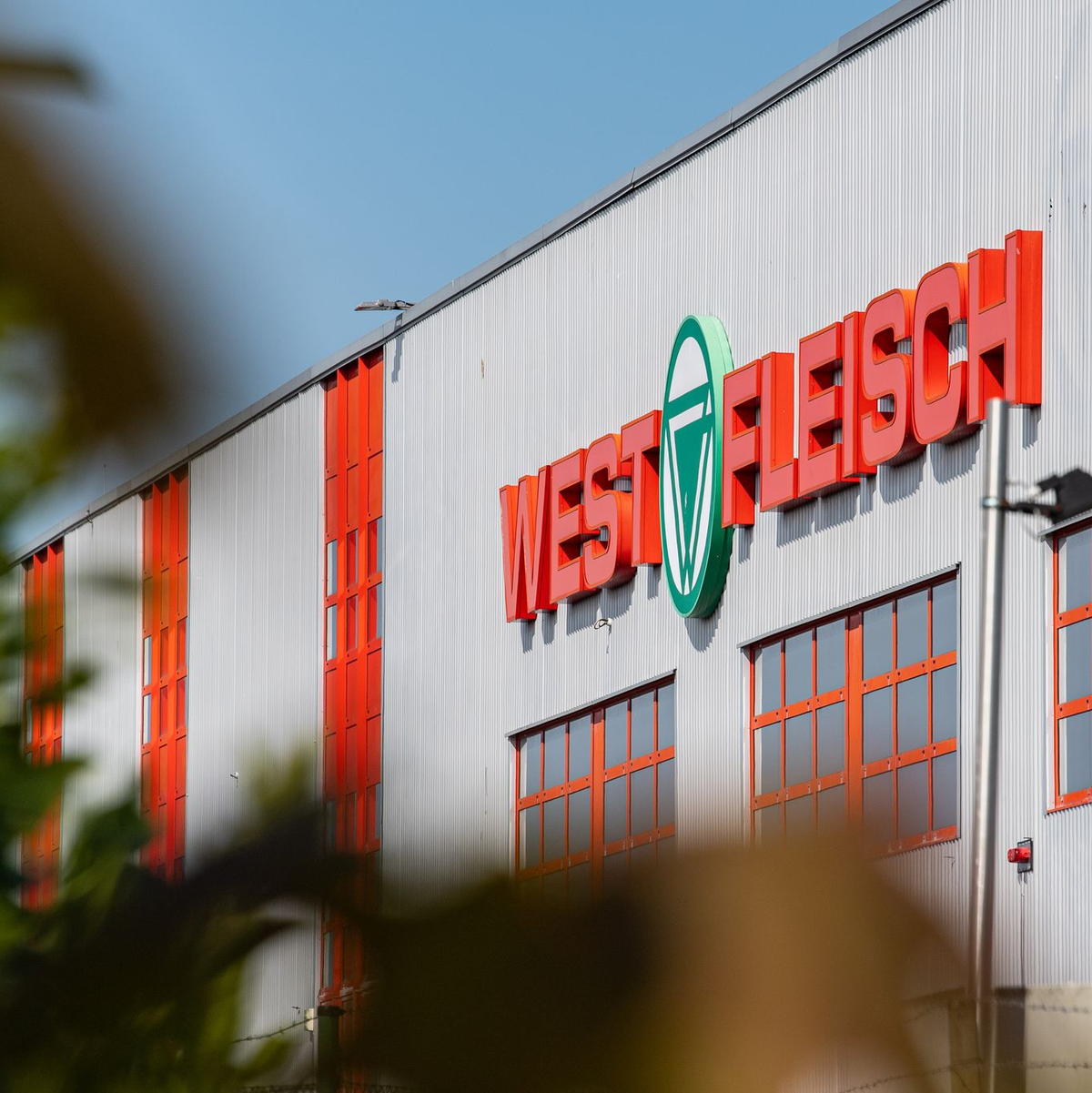 Westfleisch zählt zu den großen Schlachtbetrieben in Deutschland, ist aber vor allem im Norden des Landes vertreten. - Foto: Guido Kirchner/dpa