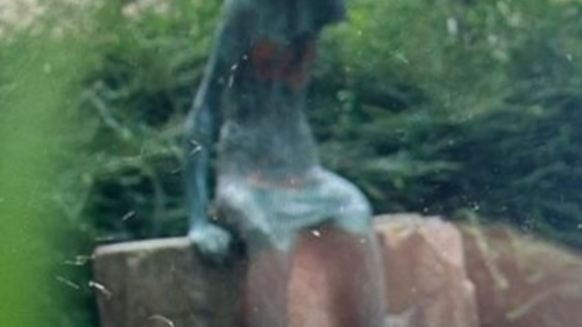 POL-RE: Gladbeck: Skulptur entwendet - Polizei sucht Zeugen - Foto: presseportal.de