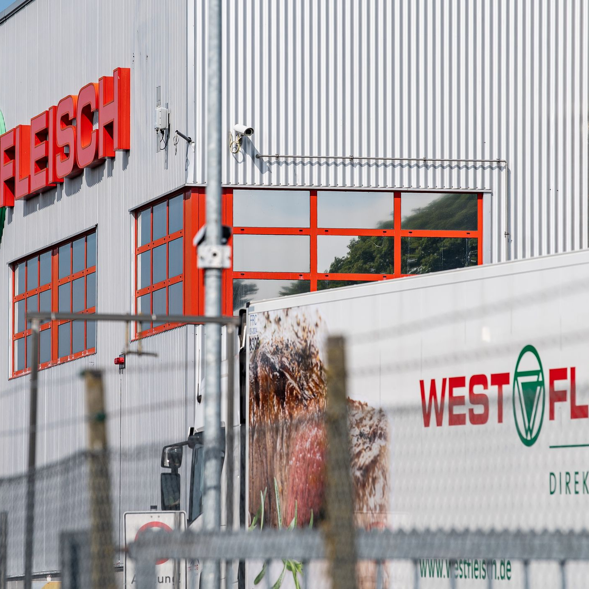 Westfleisch zählt zu den großen Schlachtbetrieben in Deutschland, ist aber vor allem im Norden des Landes vertreten. - Foto: Guido Kirchner/dpa