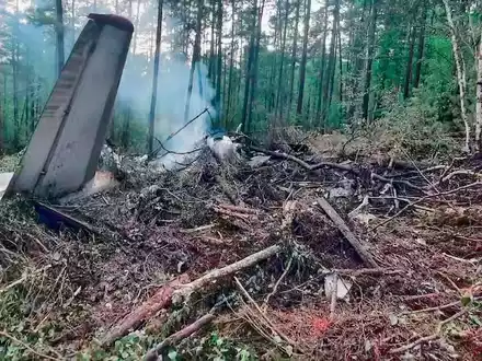Überreste der abgestürzten An-24 mitten in der Taiga. - Foto: -/Russian Investigative Committee/AP/dpa