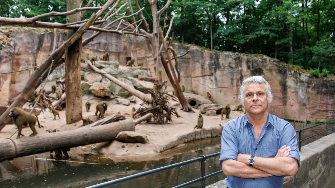 Dass die Tötung der Paviane im Gegensatz zu vielen anderen Zootieren für einen Aufschrei sorgt, ist nach Ansicht von Direktor Dag Encke eine emotionale Geschichte. - Bild: Daniel Karmann/dpa