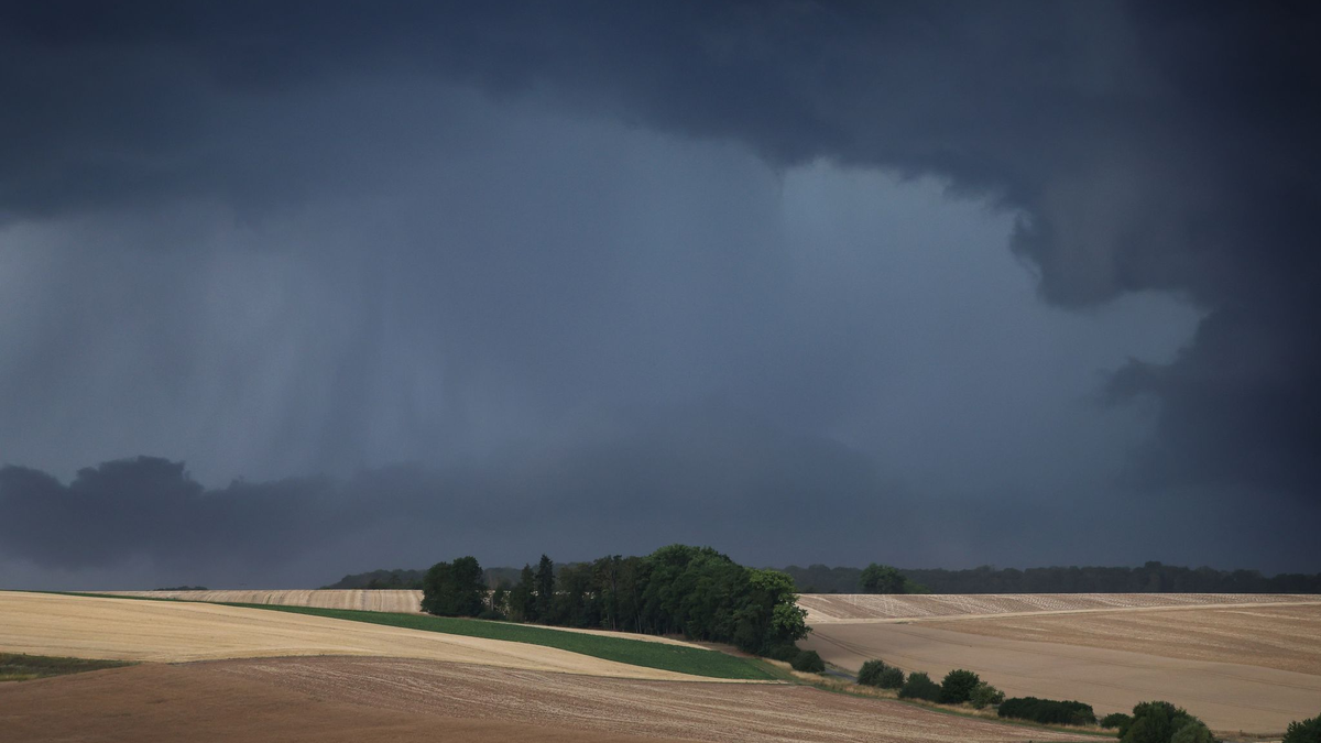 Gewitter und Regen werden vor allem im Süden und Osten Deutschlands erwartet. (Symbolbild) - Foto: Karl-Josef Hildenbrand/dpa