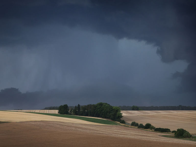 Gewitter und Regen werden vor allem im Süden und Osten Deutschlands erwartet. (Symbolbild) - Foto: Karl-Josef Hildenbrand/dpa