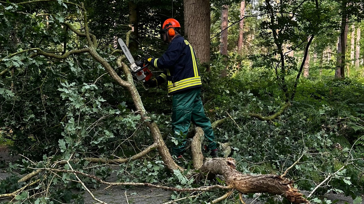 FW-AUR: Abgebrochenes Geäst blockiert Fahrbahn - Foto: presseportal.de